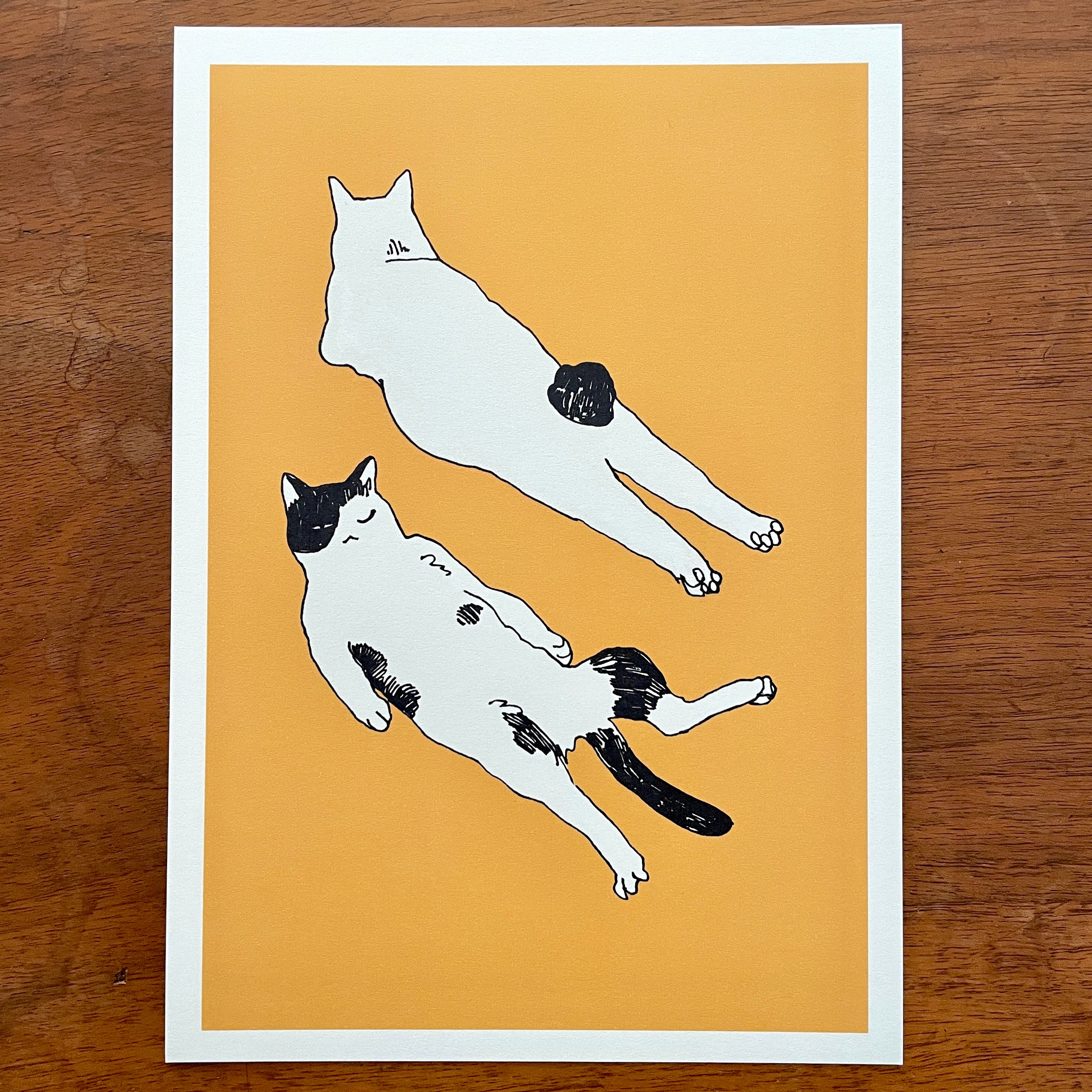 Artprint "Chilling Cats"