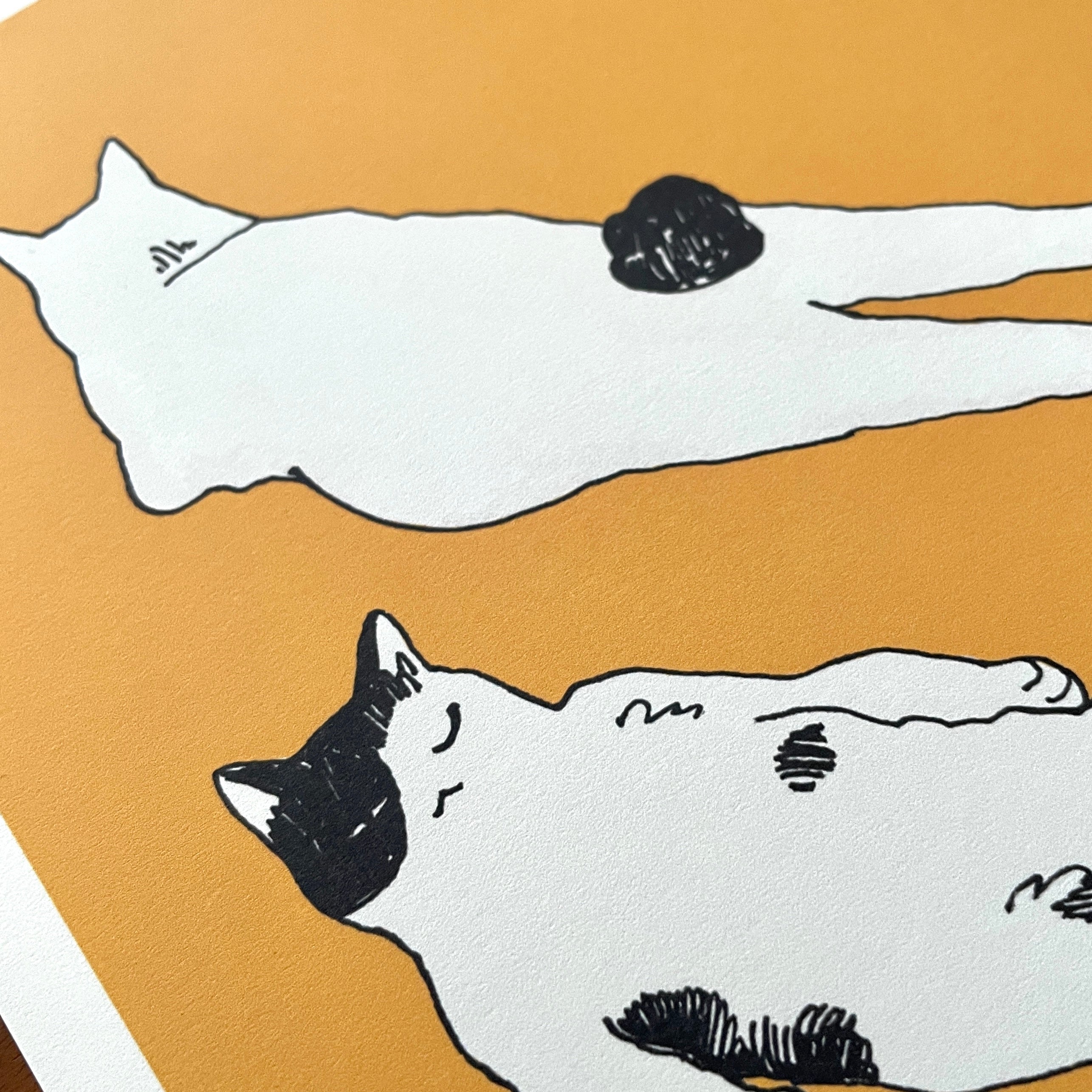 Artprint "Chilling Cats"