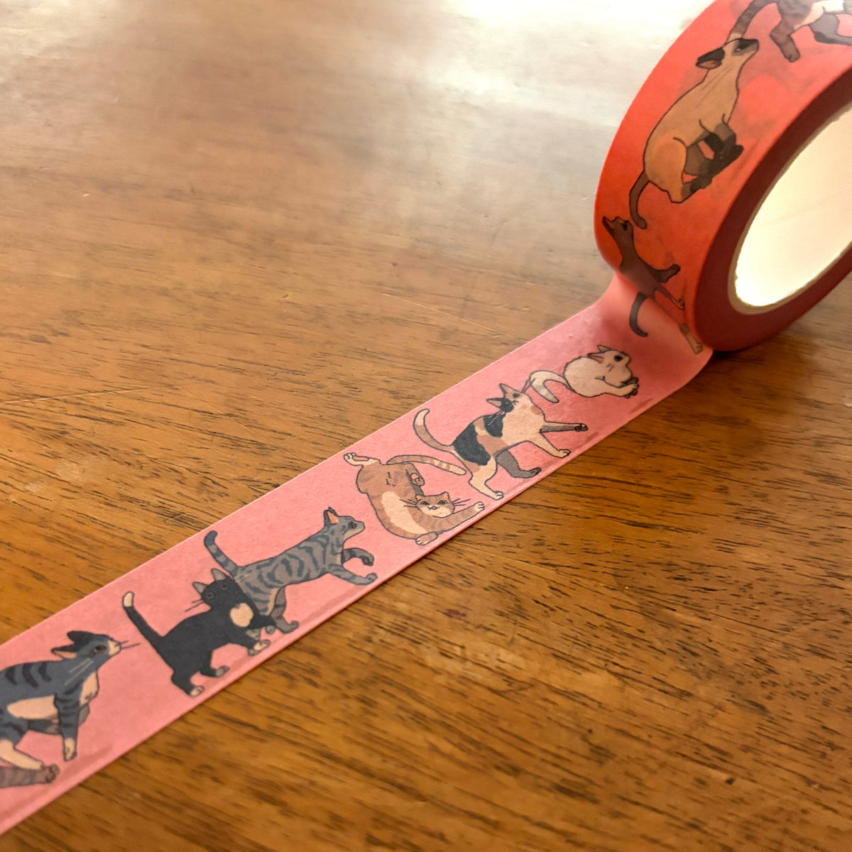 Washi Tape "Catwalk“