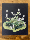 Artprint "Clover"